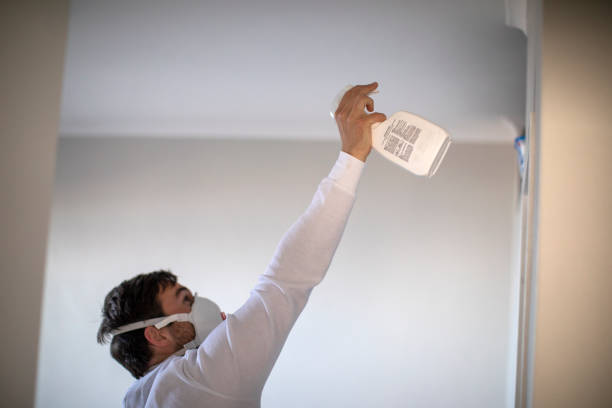 Best Bathroom Mold Remediation in Lockwood, MT