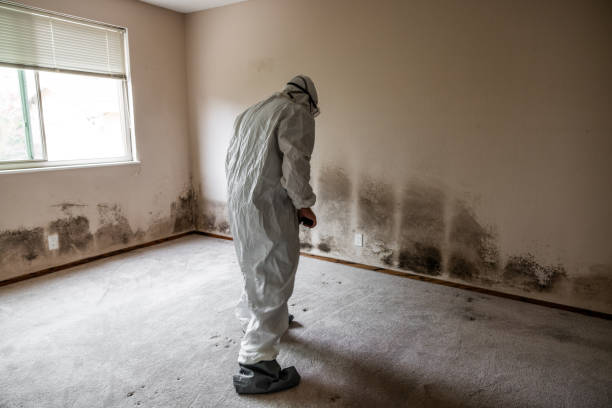 Best Industrial Mold Remediation in Lockwood, MT